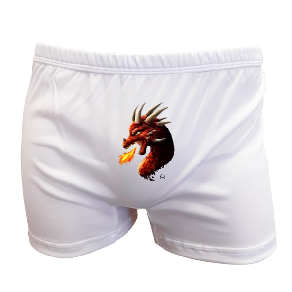 Trenýrky s potiskem Drak v kalhotách!